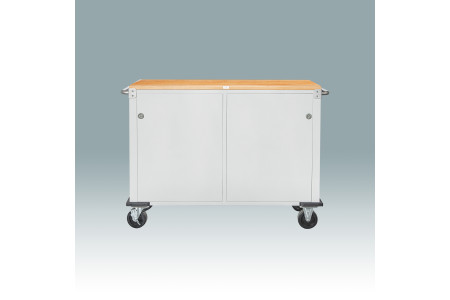 48” wide Rolling Workbench Cabinet, Granite (self-pickup only)
